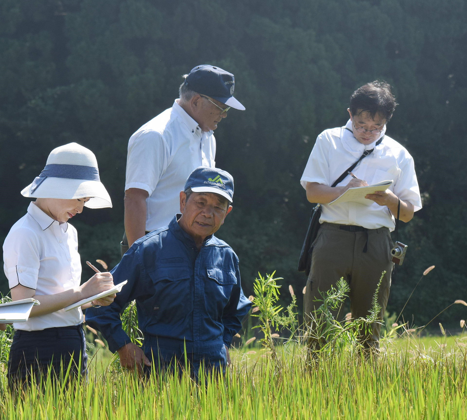 写真：活動のようす